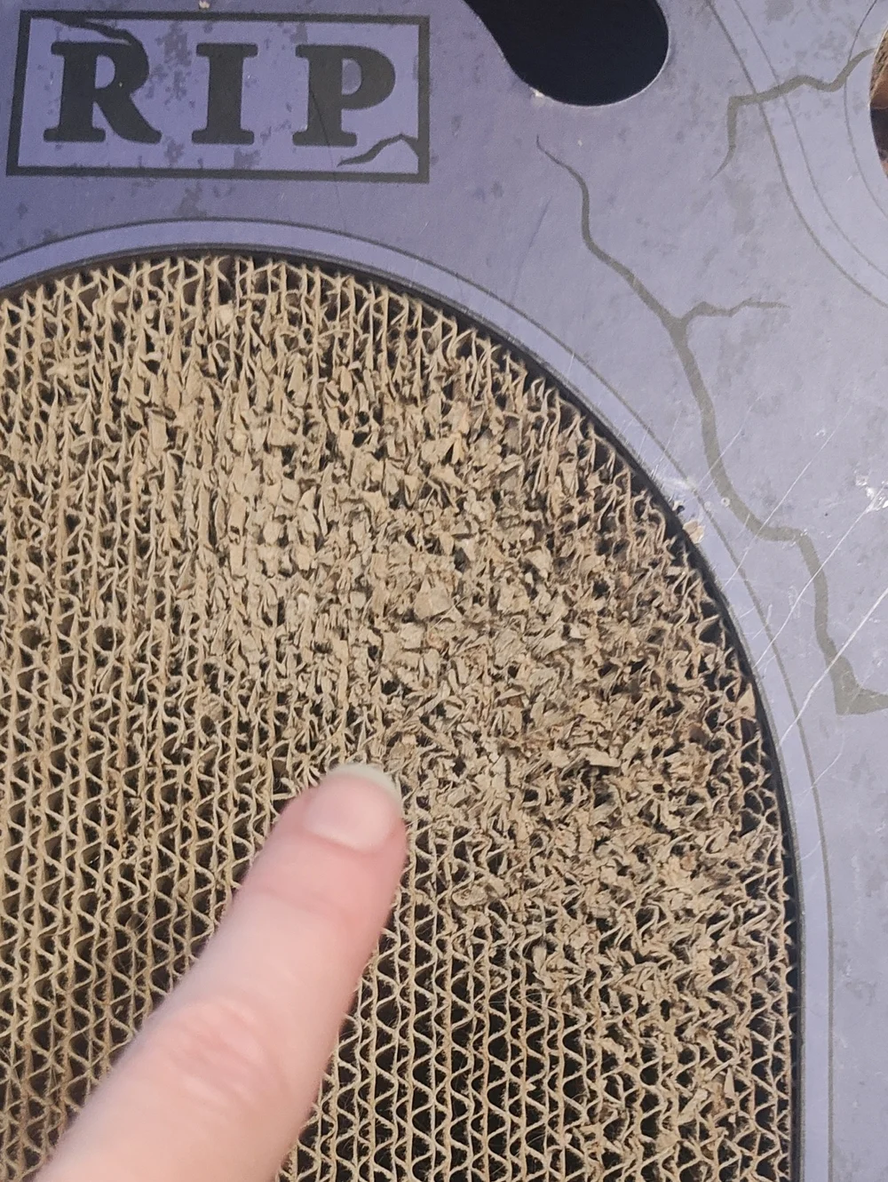 PETS: CAT SCRATCHER TOY: RIP HALLOWEEN POP-UP GHOST & BALL
